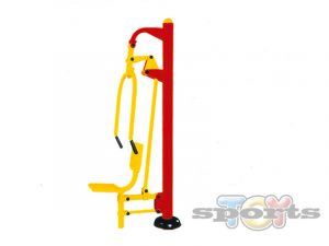 PECTORALES Y BRAZOS SIMPLE